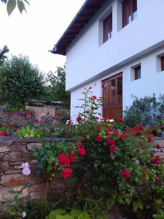 Fenix Rooms Arbanasi Exterior foto